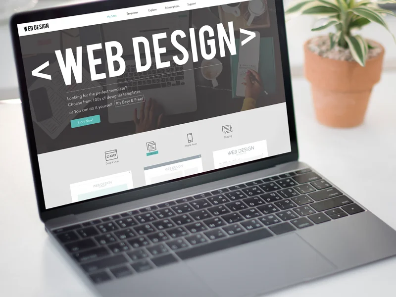 web development